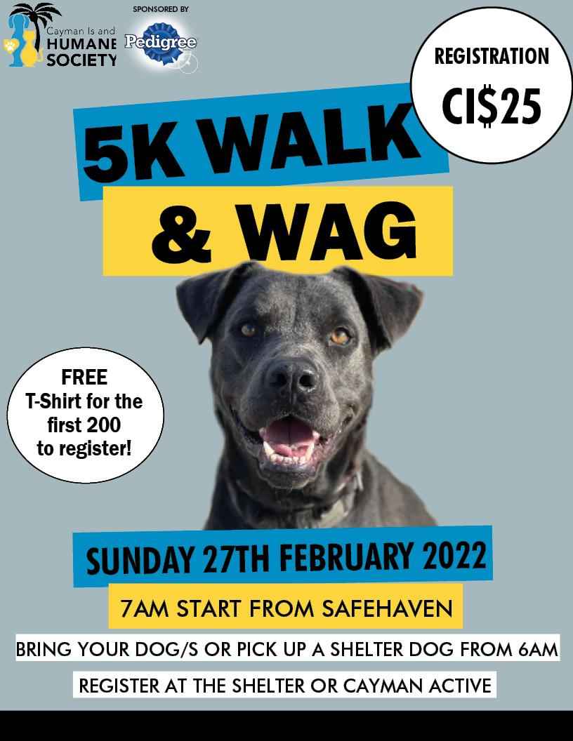 Walk and Wag 5K Charity Fun Walk/Run Explore Cayman