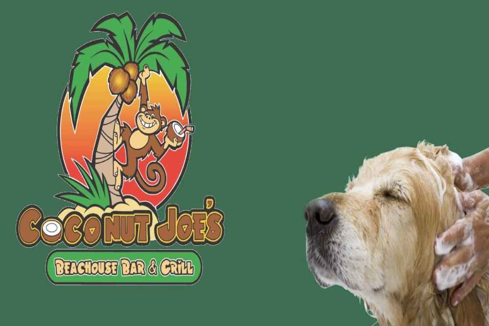 PAWS Dog Wash at Coconut Joe's by PAWS Cayman Explore Cayman