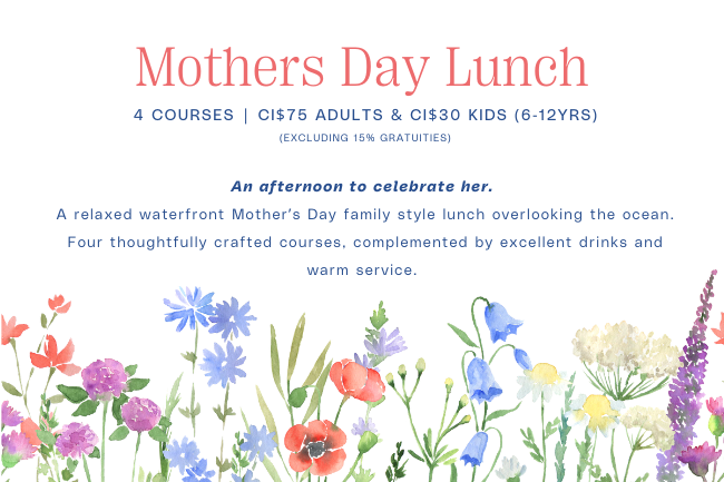 Mother's Day Lunch, Nova