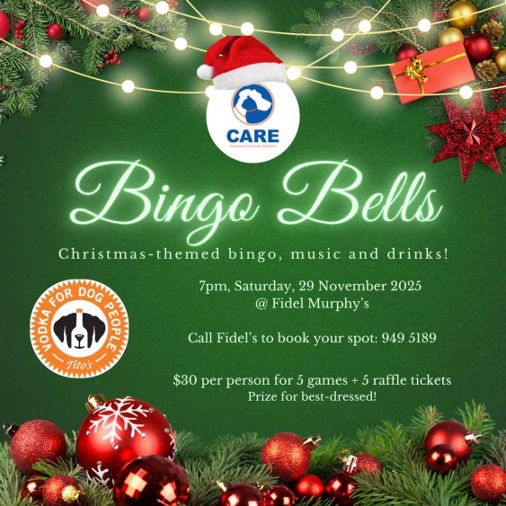 Bingo Bells at Fidel Murphy’s