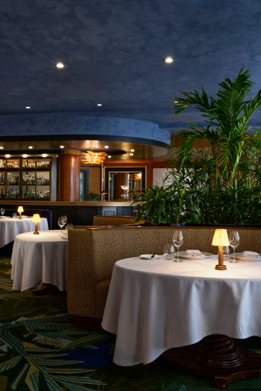 Blue Discovery Tasting Experience