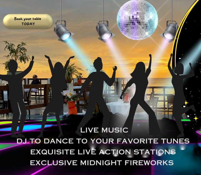 New Year's Eve Party, Grand Old House