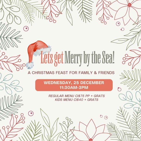 Merry by the Sea with Nova