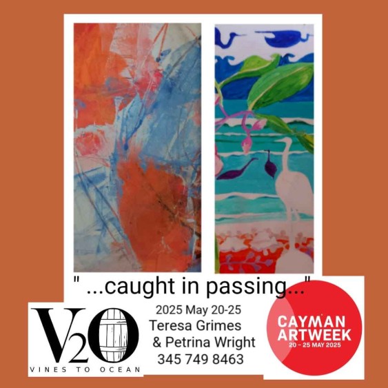 Teresa Grimes & Petrina Wright Exhibition at v2o