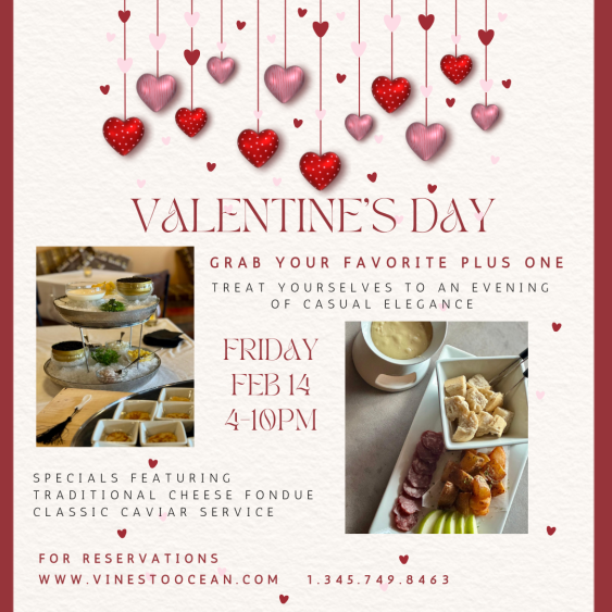 Valentine's Day at v2o