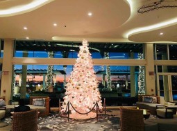 Christmas Day Brunch at The Westin