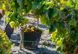 SWIRL: Favourite Spanish Wines