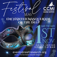 Festival of Seas Gala