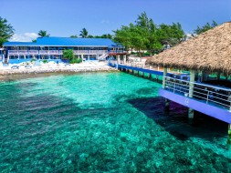 Valentine's Day at Tukka East