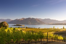 SWIRL: Best Vineyards of Australia & New Zealand