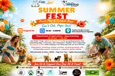 Photo-For-Summer-Fest-20260727132444
