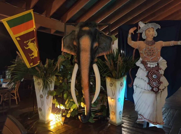 Sri Lankan Dinner