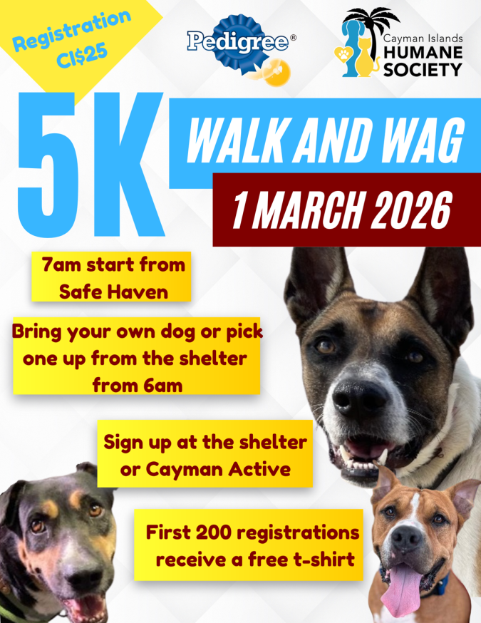 2026-Walk-and-Wag-Flyer-20260109085230