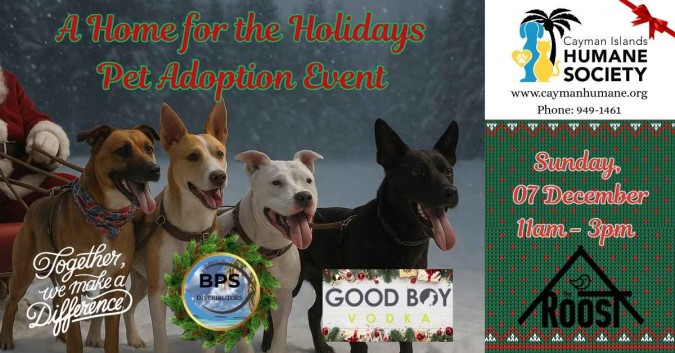 59496120612623335359370095637570123892682607n-20251204094827