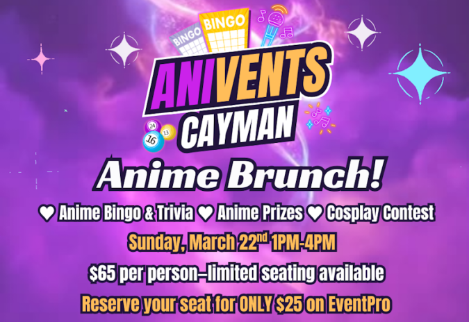 Anivents-transitions-5edited-20260306163751