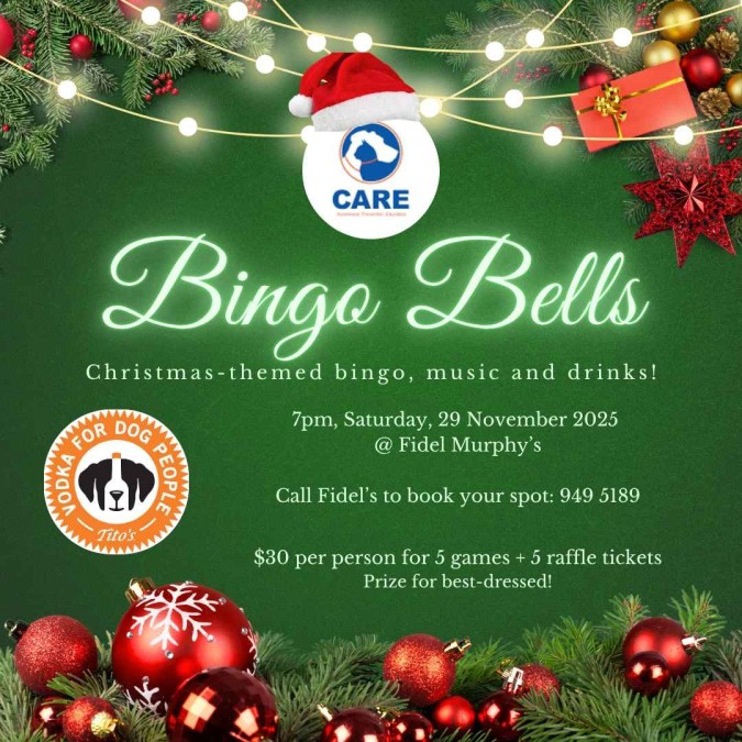 Bingo-Bells-20251104085334