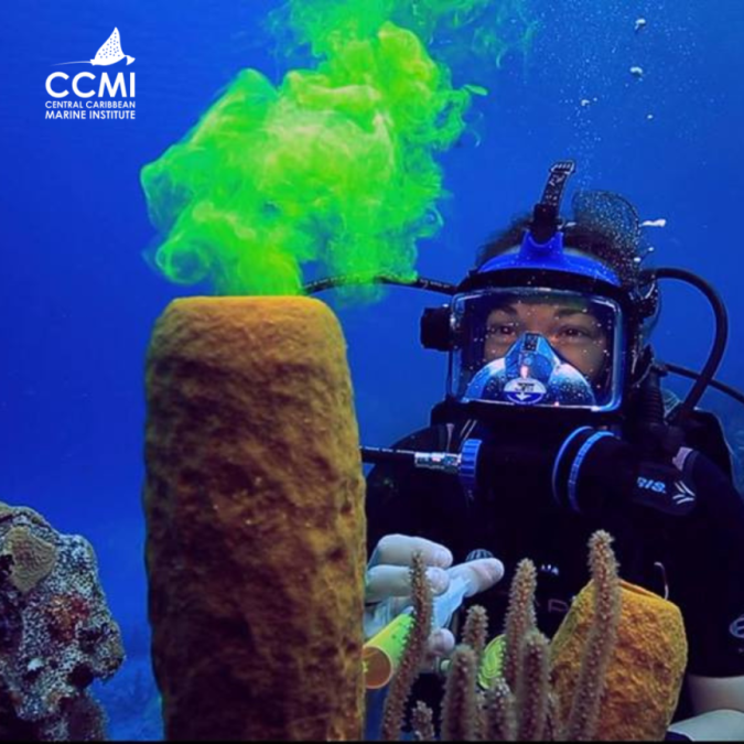 CCMI-Reefs-Go-Live-20260226151619