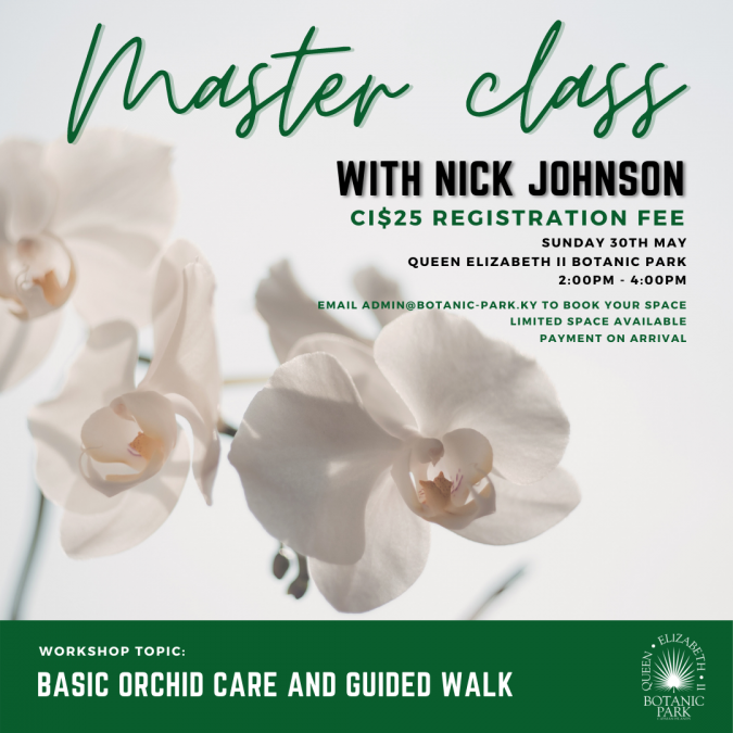 ORCHID-MASTERCLASS-BOTANIC-PARK-20210514130628