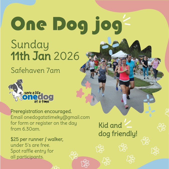 One-dog-Jog-20251208105624