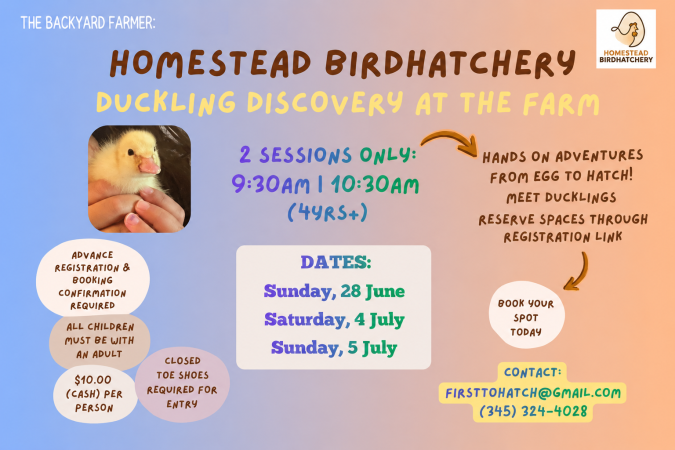 Photo-For-Duckling-Discovery-20260629134000
