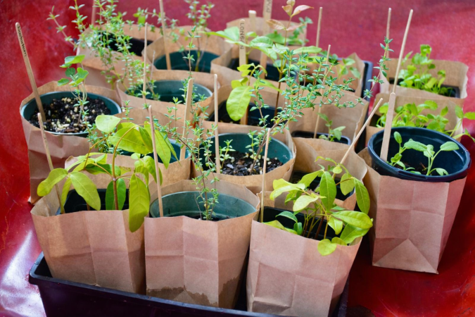 Photo-For-Earth-Day-Brasserie-Event-20260407160511