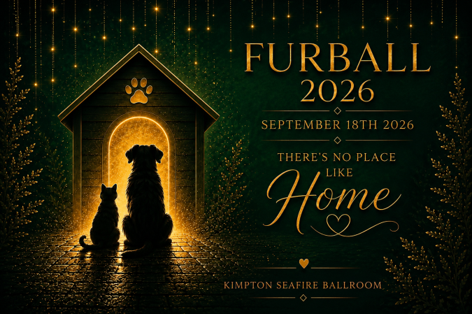 Photo-For-Humane-Society-Furball-Gala-20260629114505