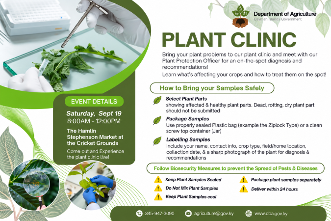 Photo-For-Pop-Up-Plant-Clinic-2-20260907111619