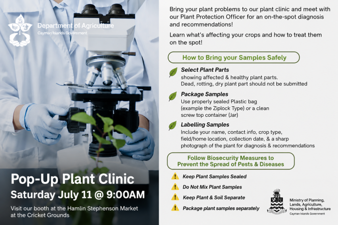 Photo-For-Pop-Up-Plant-Clinic-20260709140307