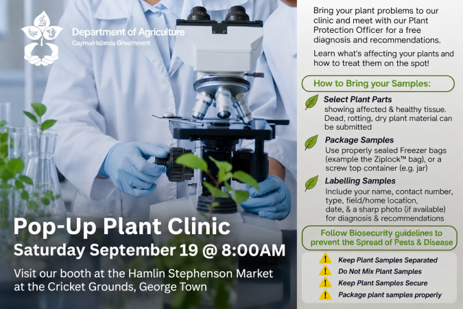 Photo-For-Pop-Up-Plant-Clinic-20260907111449