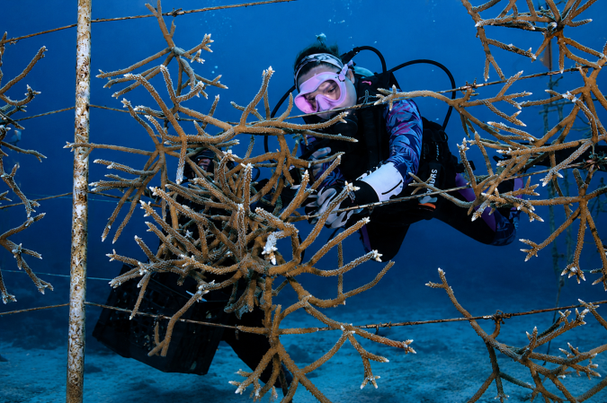 Photo-For-Reef-Lecture-20260527090946