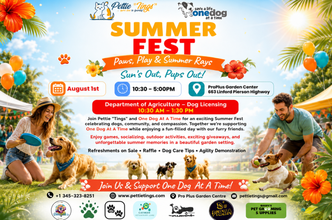 Photo-For-Summer-Fest-20260727132444