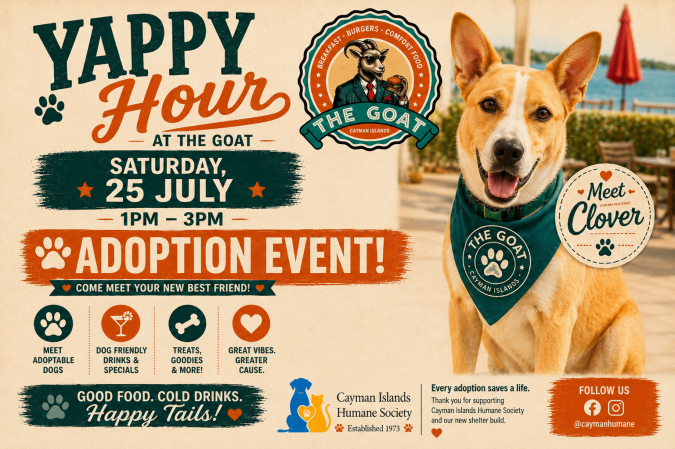 Photo-For-Yappy-Hour-Adoption-Event-20260715110903