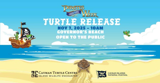 Turtle-Release--Pirates-Week-20251028101158