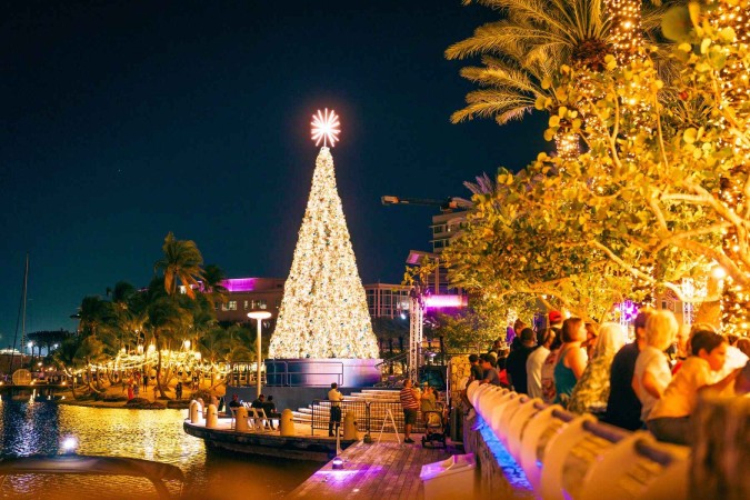 WebVersionJPG-Holiday-2024Tree-Lighting-CB-00396-20251009164757