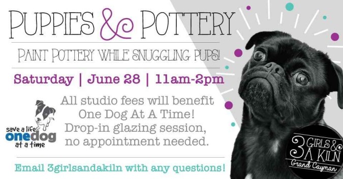 puppiesandpotteryJune-20250612083331